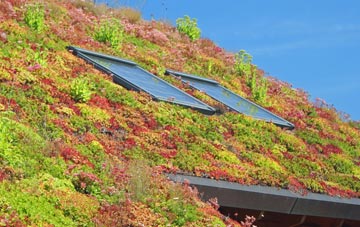 Abbotskerswell living roof systems